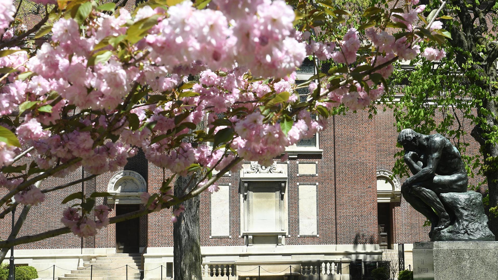 Pink spring flowers in front of the philosophy building on Columbia campus
